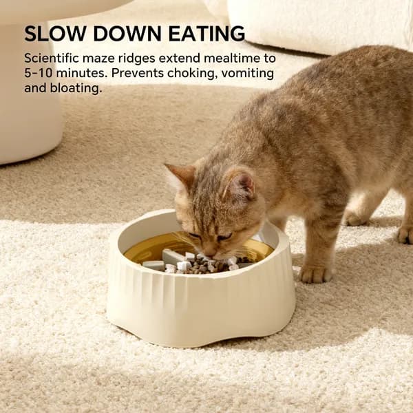 2-In-1 Dual Mode Large Plastic Cat Slow Feeder on a kitchen floor